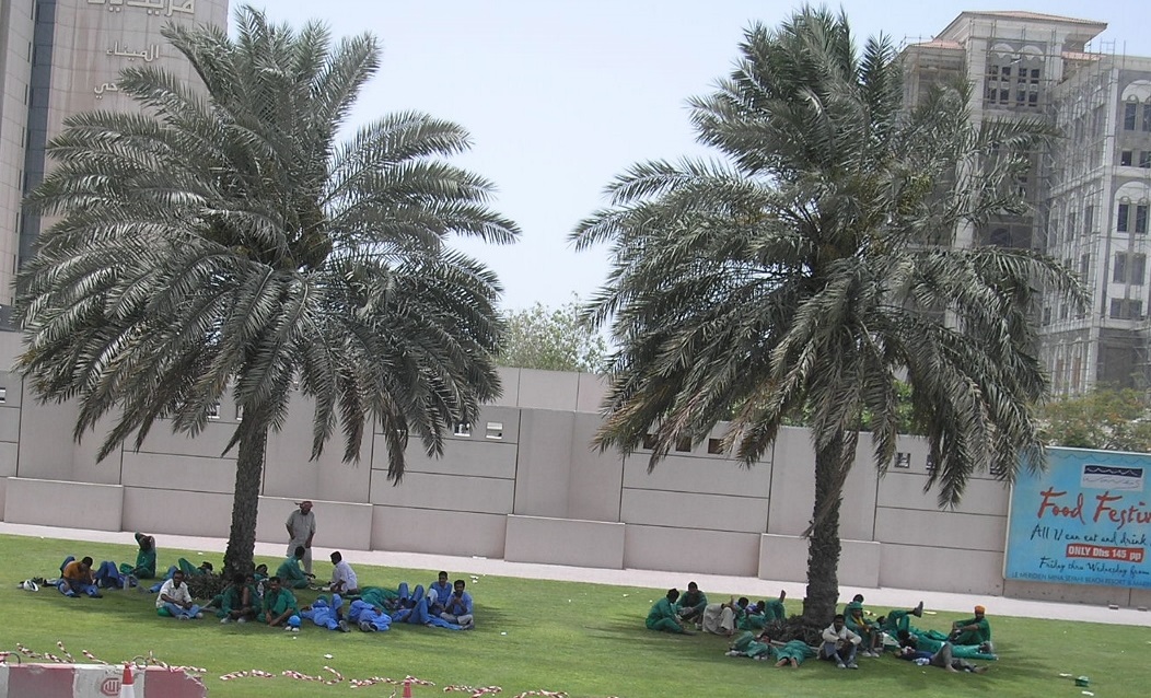 workers resting under palm trees dubai uae jun 2007