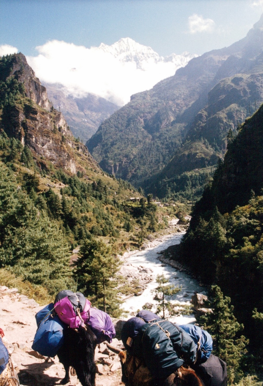 trekking in nepal solukhumbu 1998